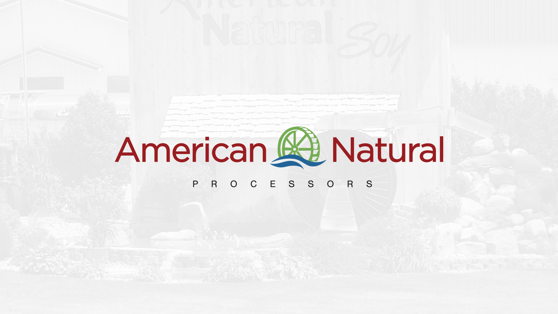 American Natural Soy