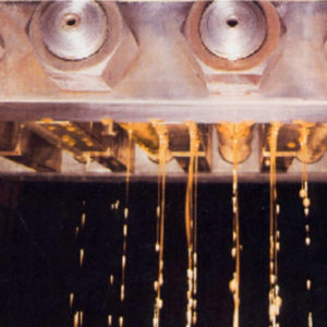 What We Do - American Natural Processors
